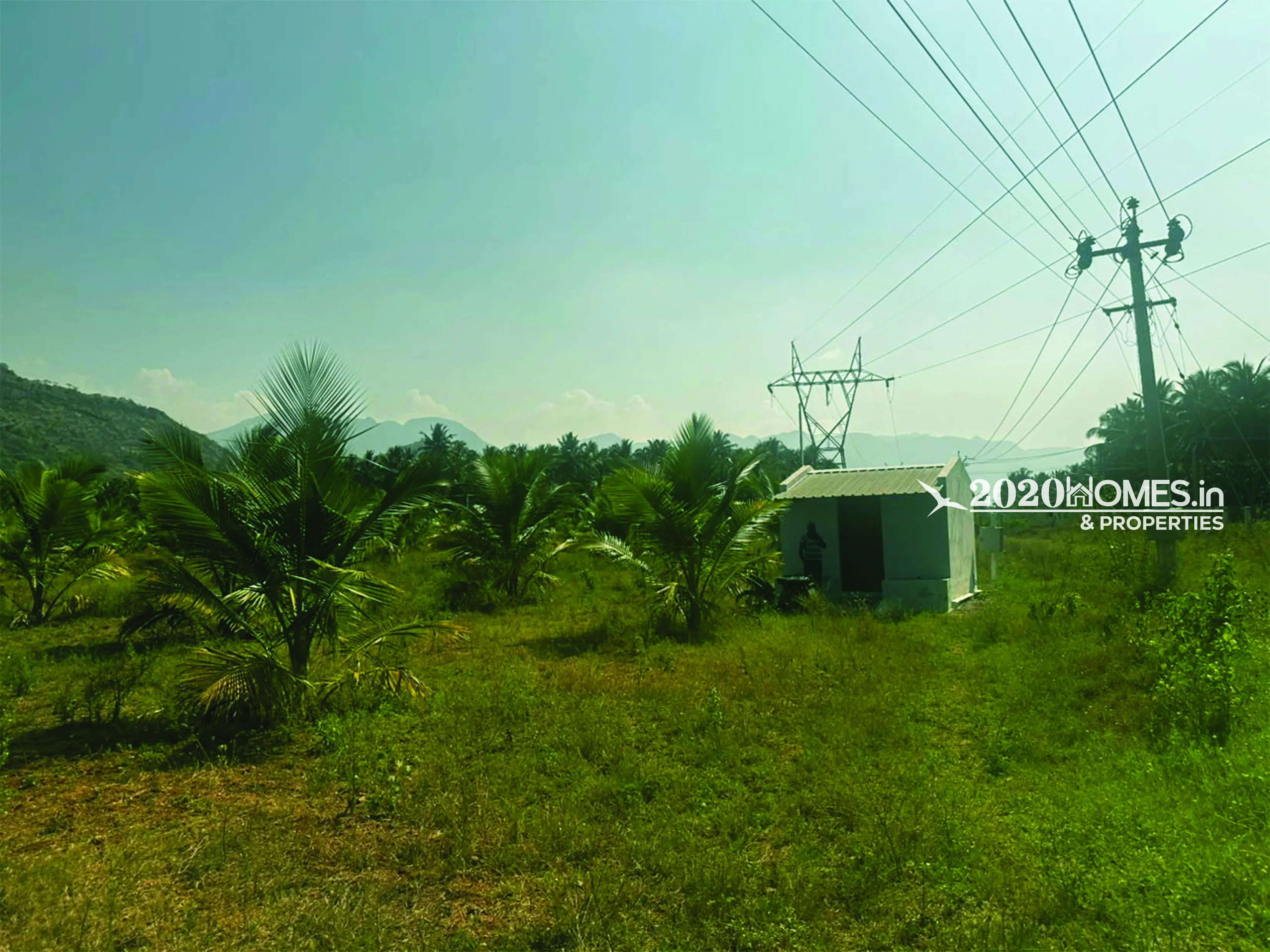 Angalakurichi GopalSwamy